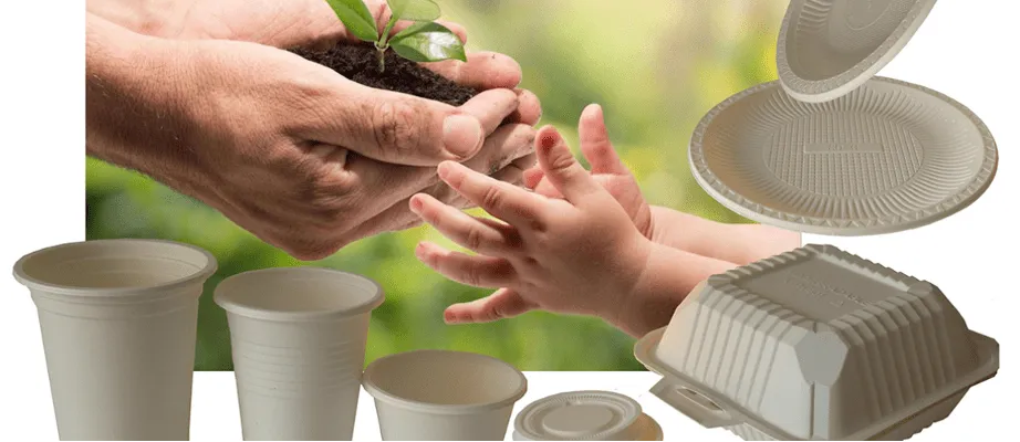 productos desechables biodegradables